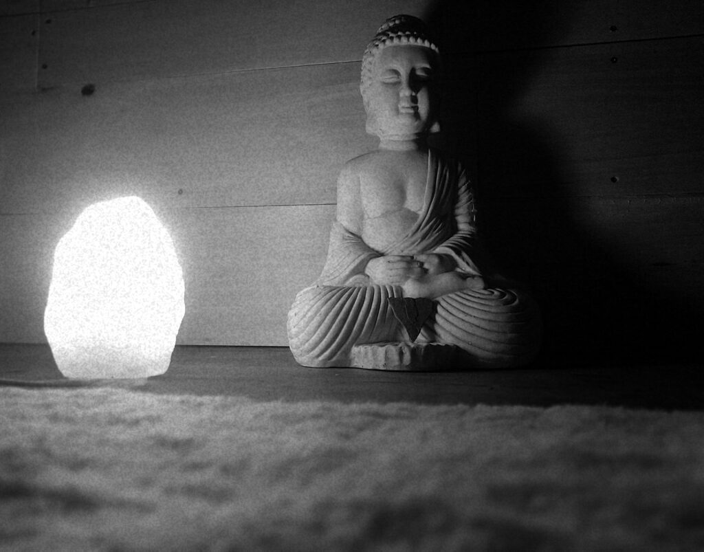 Exploration corporelle dans la lignée du Yoga du Cachemire selon l'enseignement de Nathalie Delay