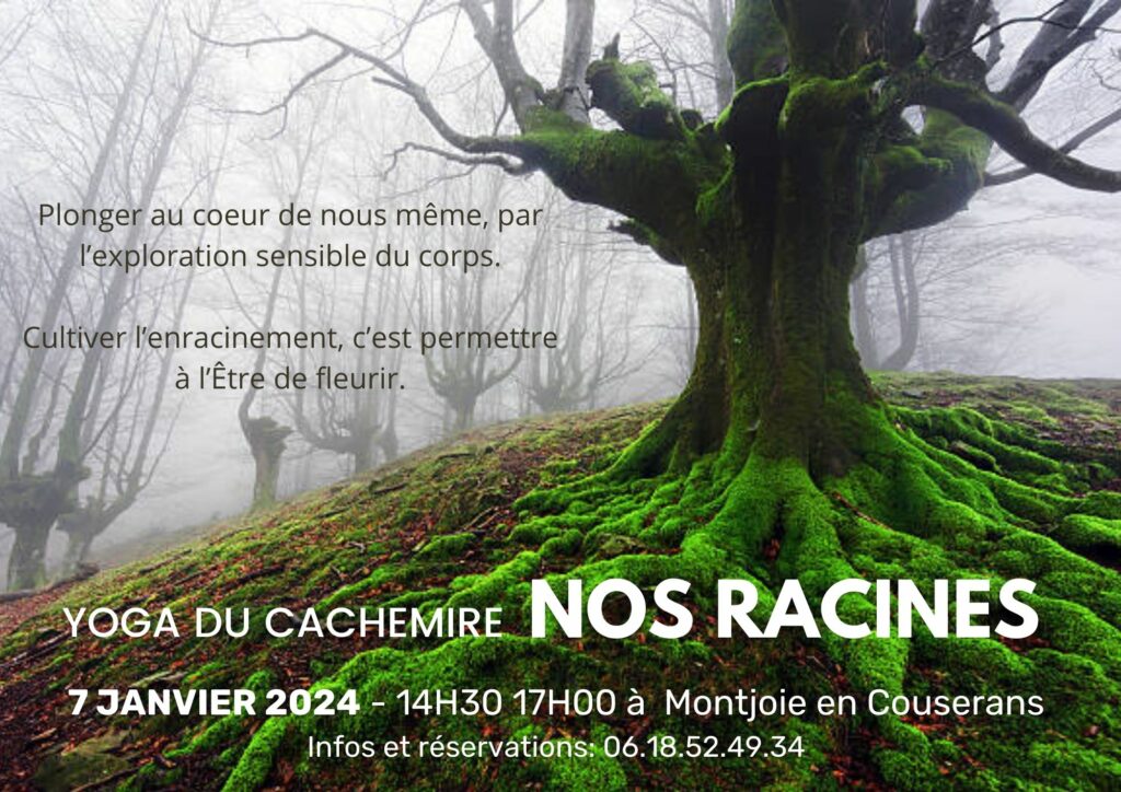 Atelier Yoga du Cachemire "Nos racines", dimanche 7 janvier 2024, de 14h30 à 17h, à Montjoie-en-Couserans